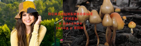 ГАЛЛЮЦИНОГЕННЫЕ ГРИБЫ Белокуриха