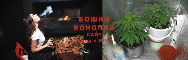 ГАЛЛЮЦИНОГЕННЫЕ ГРИБЫ Белокуриха