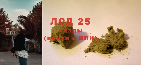 ГАЛЛЮЦИНОГЕННЫЕ ГРИБЫ Белокуриха
