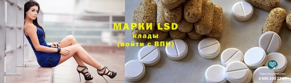 ГАЛЛЮЦИНОГЕННЫЕ ГРИБЫ Белокуриха