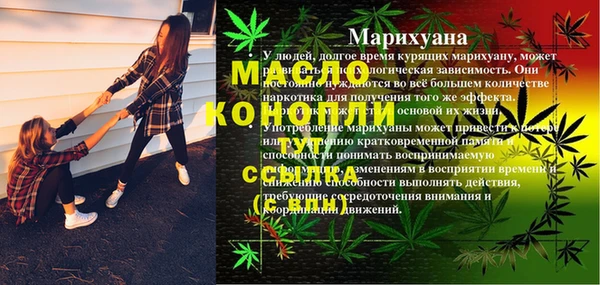 ГАЛЛЮЦИНОГЕННЫЕ ГРИБЫ Белокуриха
