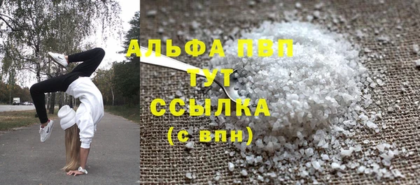 ГАЛЛЮЦИНОГЕННЫЕ ГРИБЫ Белокуриха