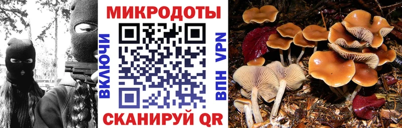 Галлюциногенные грибы мицелий Сегежа