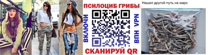 Галлюциногенные грибы ЛСД Сегежа
